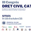 Formació Icafi