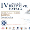 Formació Icafi